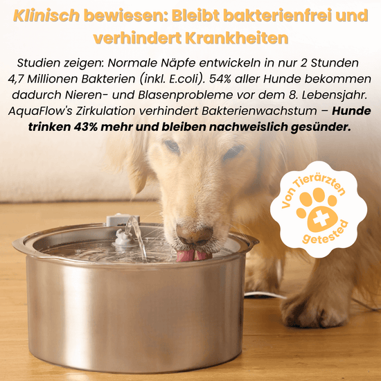 AquaFlow™ — Fontaine d’eau filtrée & automatique pour chien