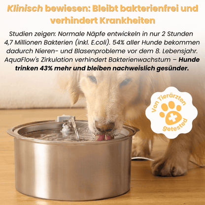 AquaFlow™ — Fontaine d’eau filtrée & automatique pour chien