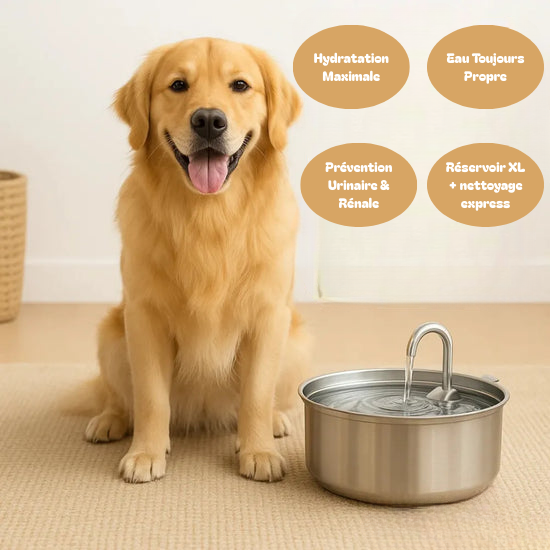 AquaFlow™ — Fontaine d’eau filtrée & automatique pour chien